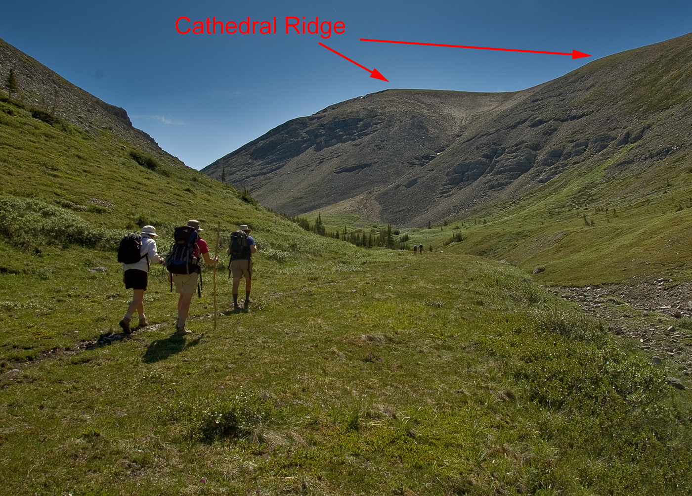 Willmore Wilderness Park, Rocky Mountains, Alberta, Canada